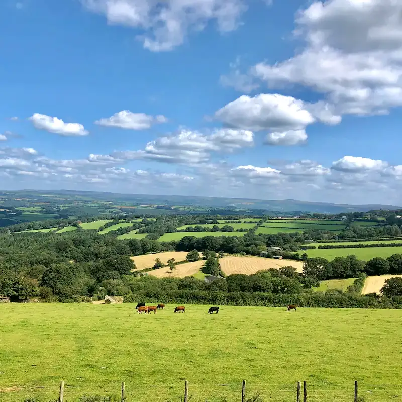 Old Luckett Station Views