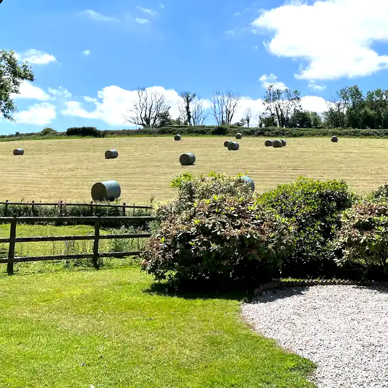 Old Luckett Station Views