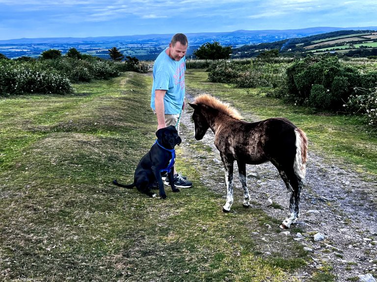 Tim teaching our then puppy Nero about behaving around ponies at Kit Hill